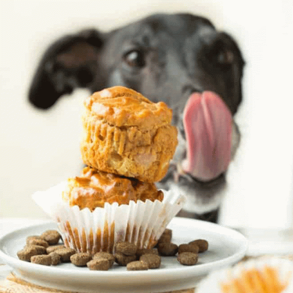 PupCake