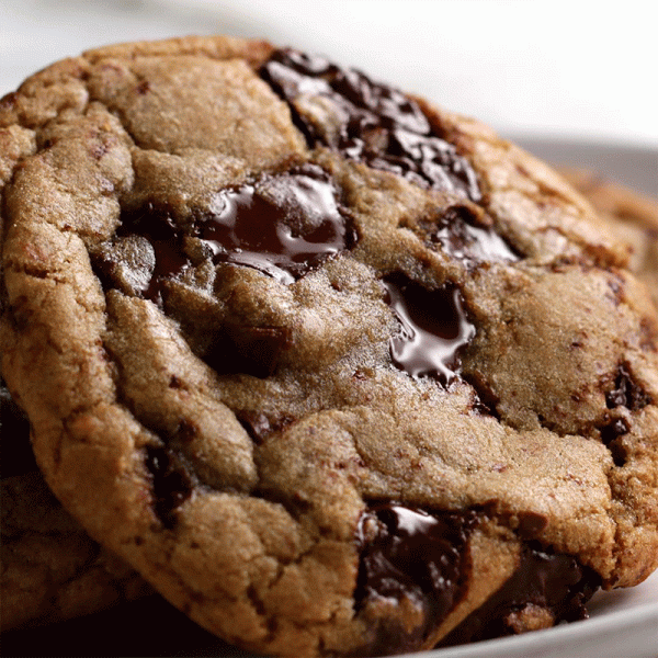 Chocolate Chip Cookie